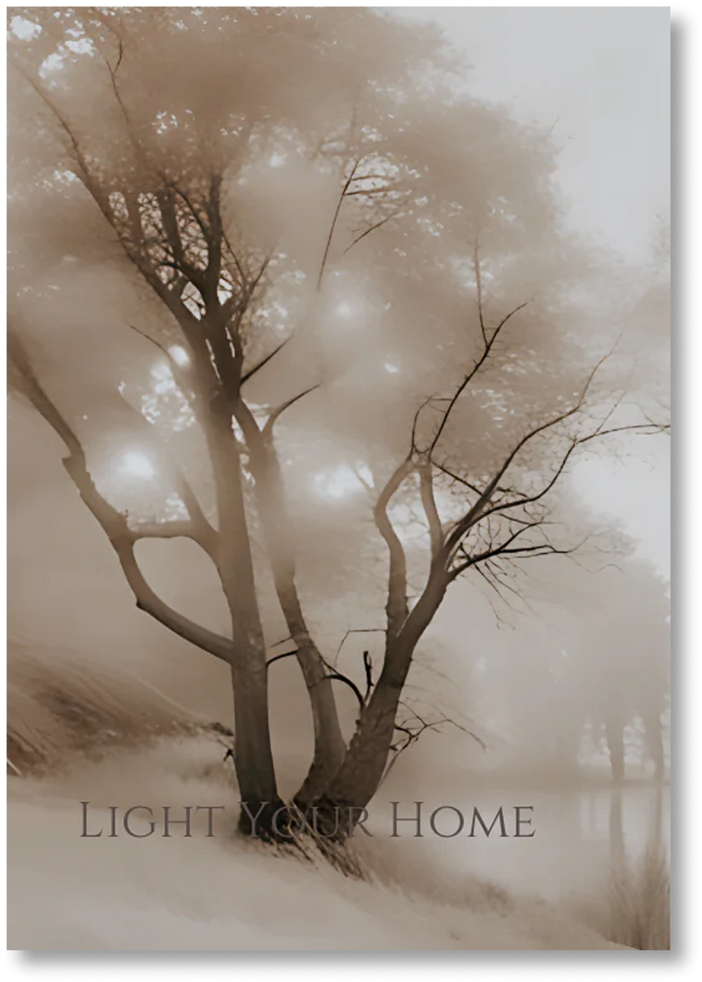 Morning Dew - Print