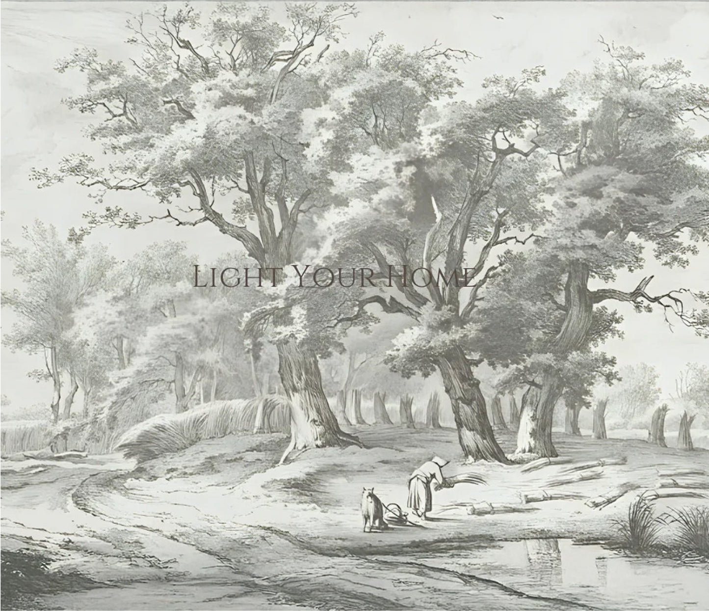 framed_canvas_image_horizontal