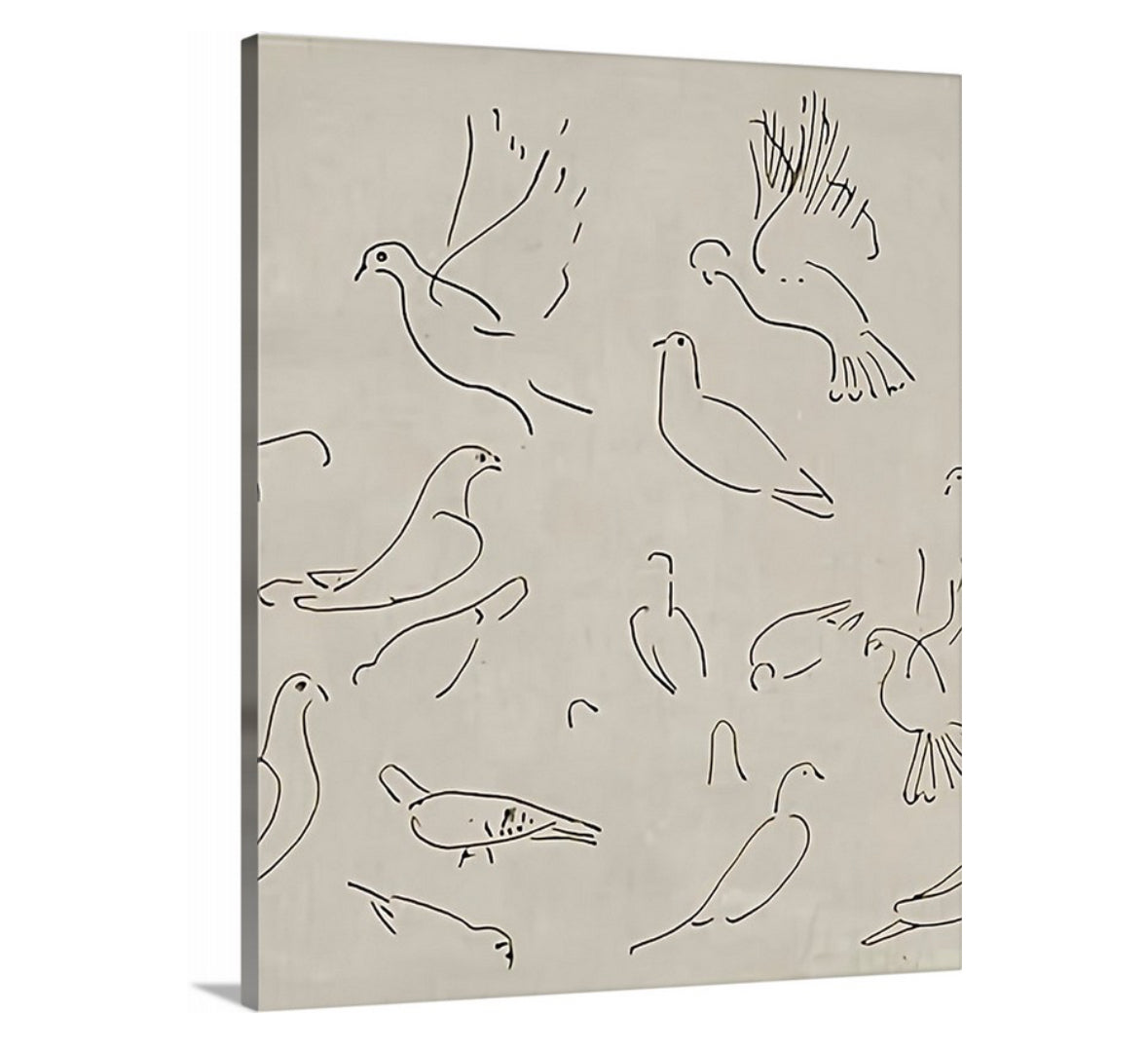 Dove - Canvas