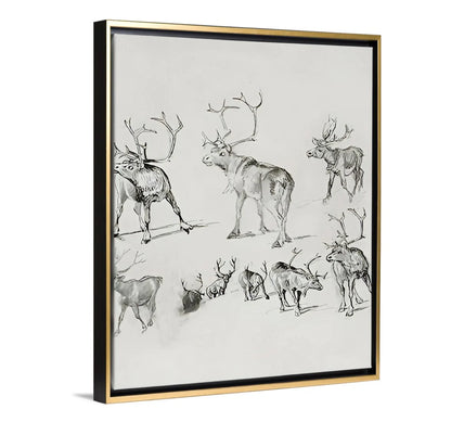 Reindeer - Canvas