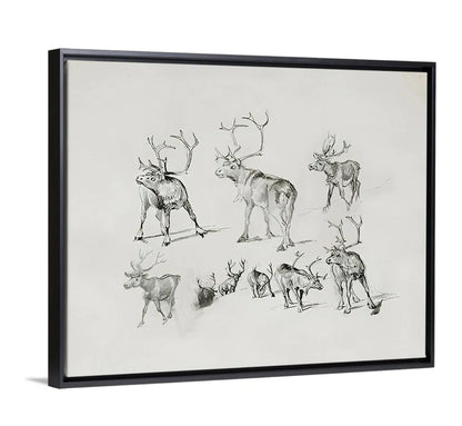 Reindeer - Canvas