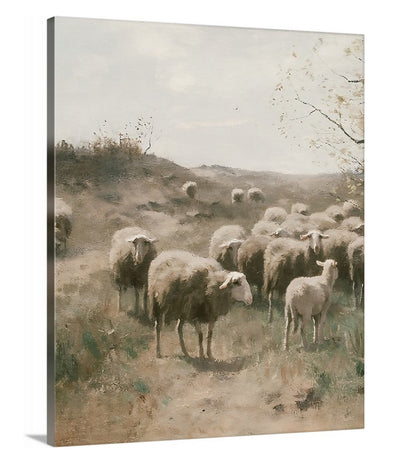 Among The Meadow - Canvas