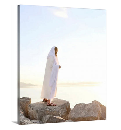 Seek and Ye Shall Find - Canvas
